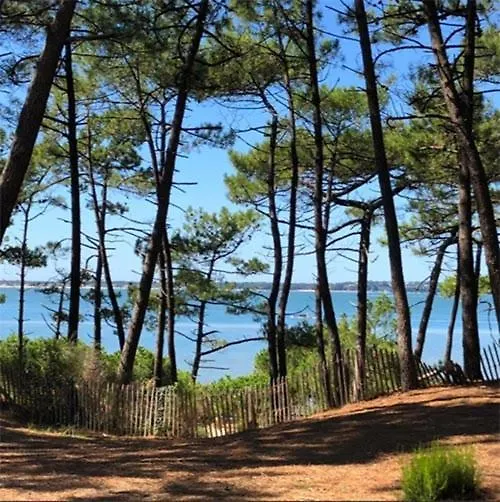 Villa Front De Mer Acces Plage Presqu'Ile De Giens-Sea And Mountain Pleasure Hyeres