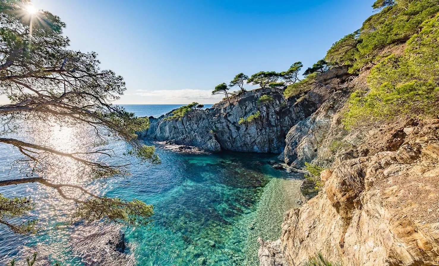 Villa Front De Mer Acces Plage Presqu'Ile De Giens-Sea And Mountain Pleasure Hyeres 0*,  France