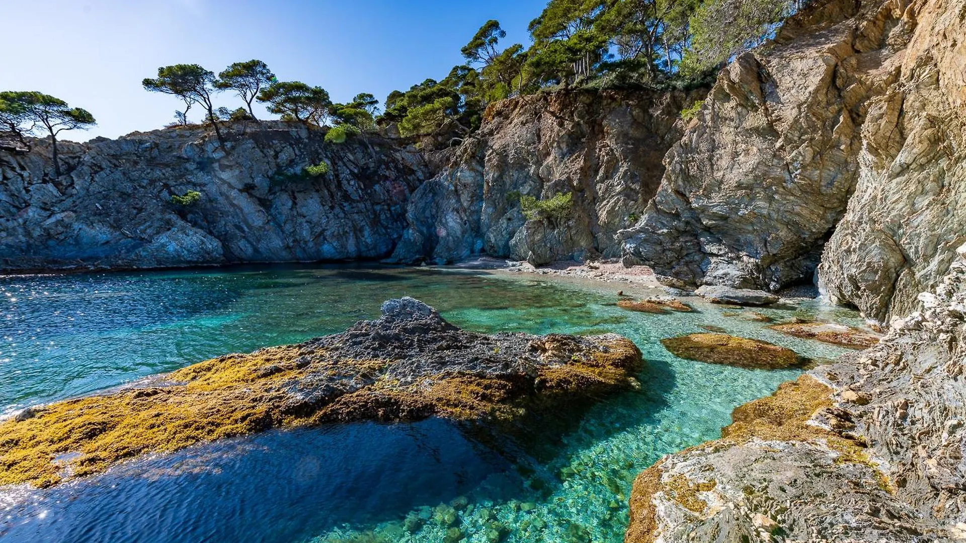 Villa Front De Mer Acces Plage Presqu'Ile De Giens-Sea And Mountain Pleasure Hyeres